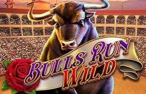 Bulls Run Wild