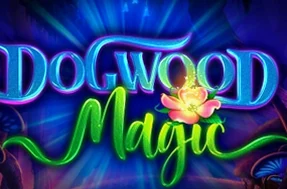 Dogwood Magic