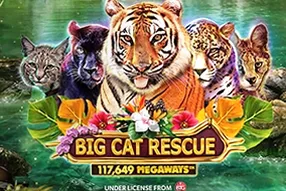 Big Cat Rescue Megaways